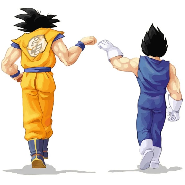 Picture of team Dois neurônios